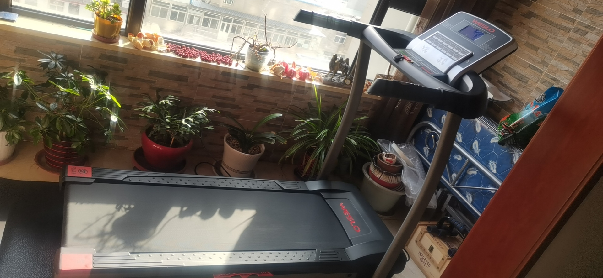 汾阳香蕉成人APP视频 汾阳香蕉成人APP视频