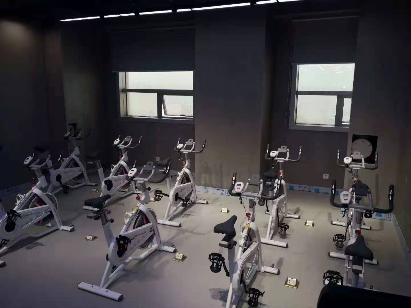 香蕉成人APP视频